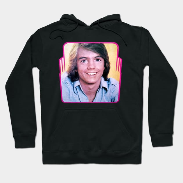 Vintage Super Hardy Boys Shaun Cassidy 1976 Rare Promotional Hoodie by fancyjan